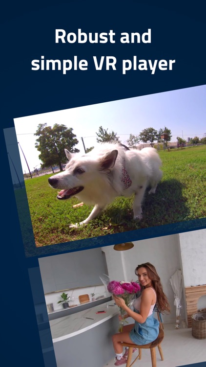 DeoVR Video Player