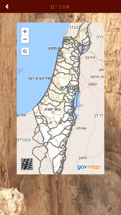 ציידי שטפונות