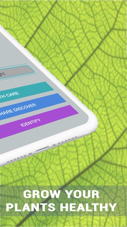 Plant Disease Identifier