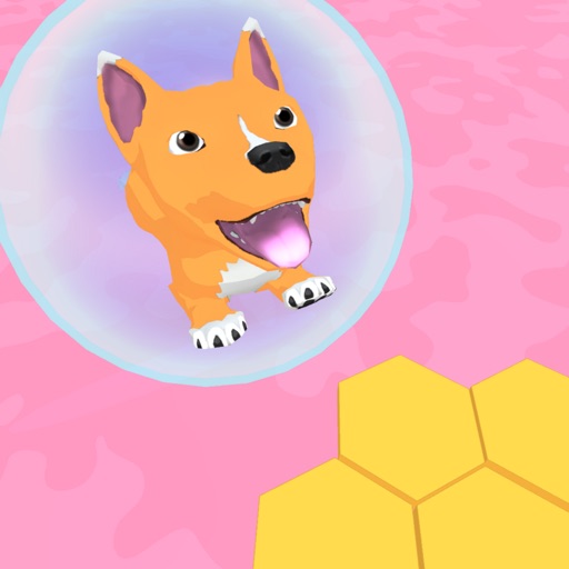 Corgi Ball