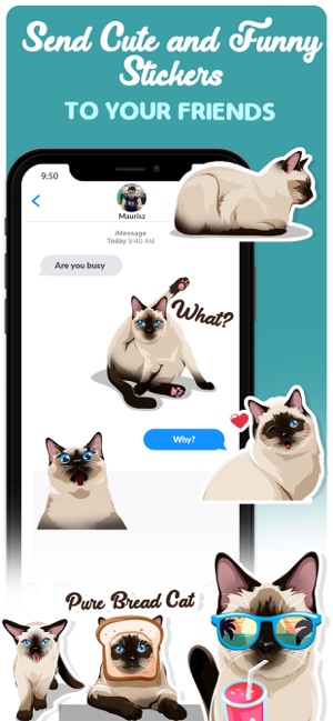 Siamese Cats Emoji Sticker(圖4)-速報App