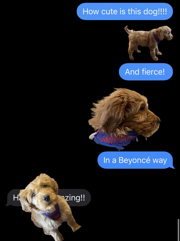 Screenshot #6 pour Pup Named Penny Lane