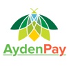 Ayden Pay