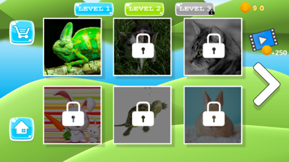 Puzzle Pets Dogs Cats Game screenshot 2