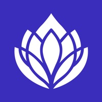 Dew guided meditation  relax