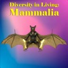 Diversity in Living: Mammalia