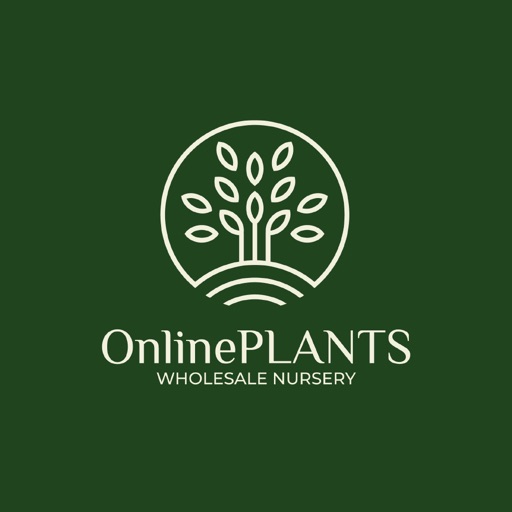 Shop Plants