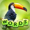 Words and Animals - Crosswords Hack