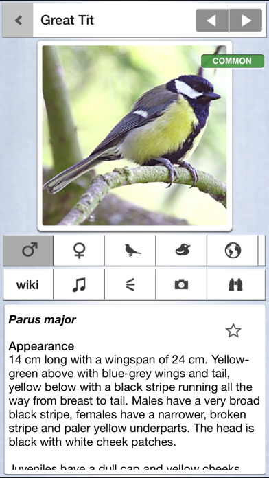 How to cancel & delete Birds of the Netherlands: A Pocket Guide from iSpiny from iphone & ipad 1