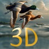 Duck Hunter Pro 3D