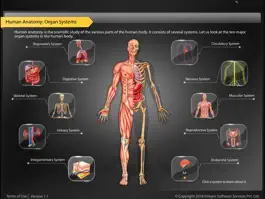 Game screenshot Human Anatomy - Circulatory mod apk