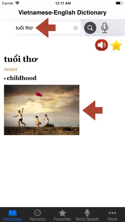 Vietnamese-English Dictionary+ screenshot-4