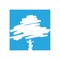Welcome to the official Tree Church application