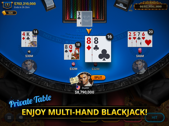 Blackjack Championship screenshot 14