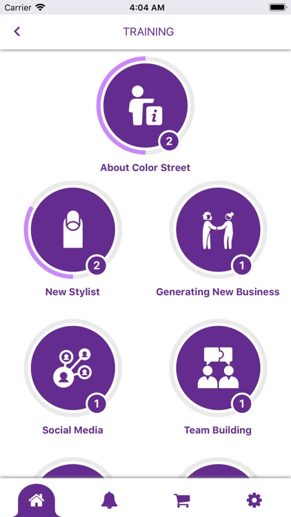 Color Street Stylist App