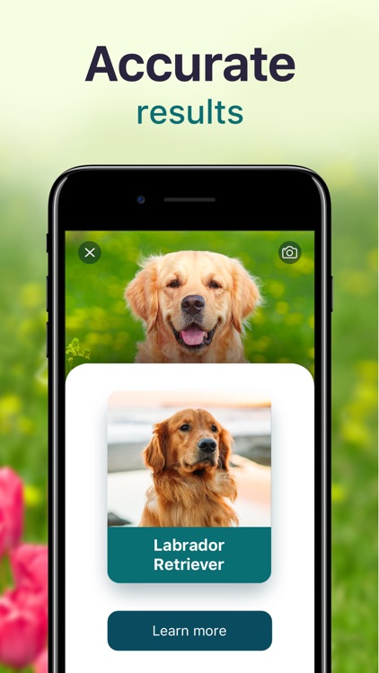 Plants, Cats & Dogs Scanner screenshot-8