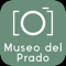 Icon El Prado Museum Visit & Guide