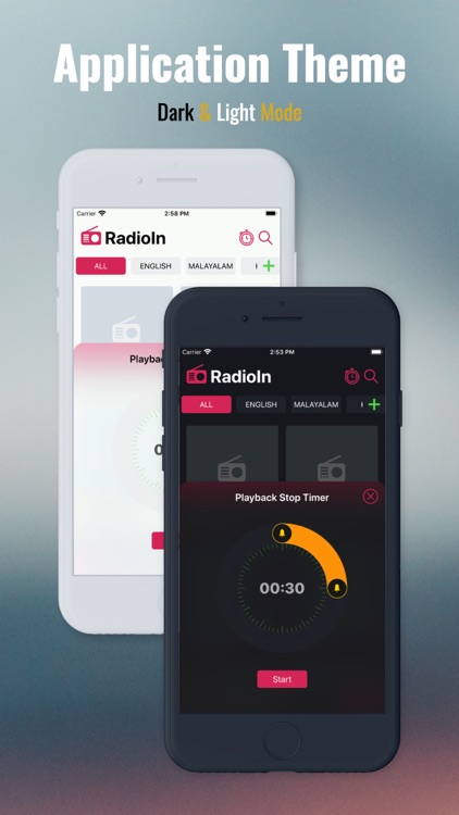 Radio In-OnLine FM,AM Stations