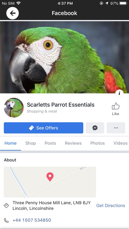 Scarletts Parrot Essentials screenshot-4