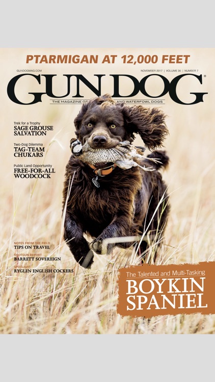 Gun Dog Magazine