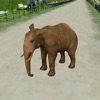 Zoo Escape - 3D Animal Runner - iPadアプリ