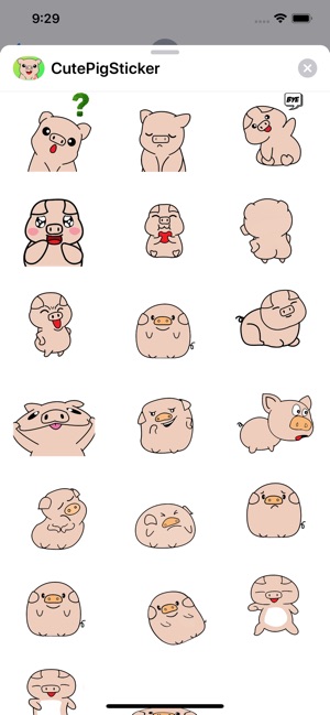 Cute Pig Sticker - dbl