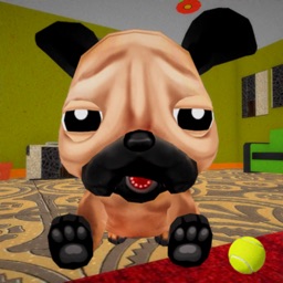 Virtual puppy sim : Pet Dog