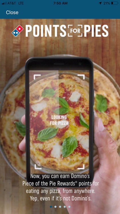 Domino's Pizza USA