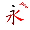 汉字笔画描红字帖Pro-学习语文生字笔划笔顺的App vinegar strokes 