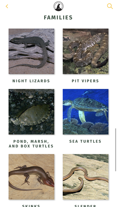 NWF Guide to Reptiles screenshot 2