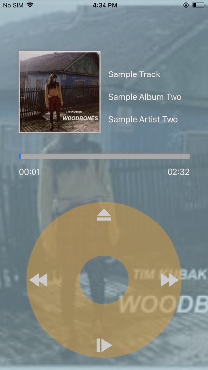 Prodigal Music Player screenshot-4