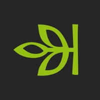 Ancestry: Family History & DNA на пк