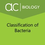 Classification of Bacteria