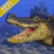 underwater alligator attack