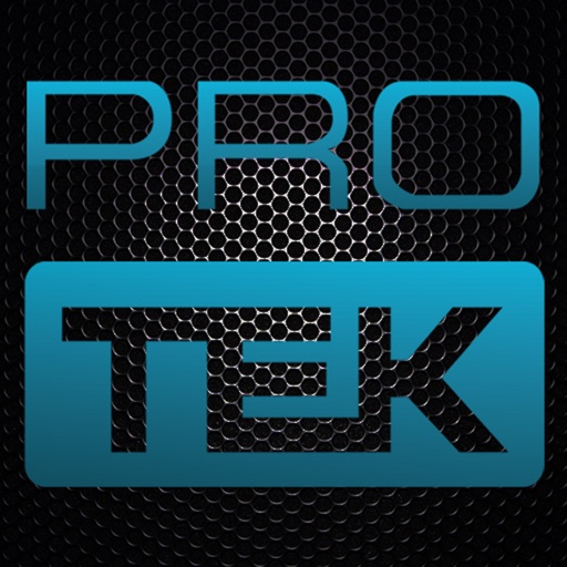 Pro tek Automotive Icon