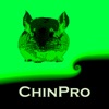 ChinPro International