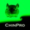 ChinPro International is a breeding database for Chinchillas