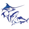 Tauranga Sports Fishing Club