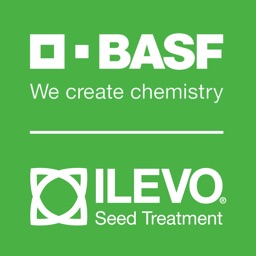 BASF ILEVO® AR