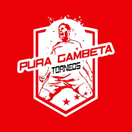 Torneos Pura Gambeta Читы