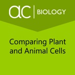Comparing Plant  Animal Cells