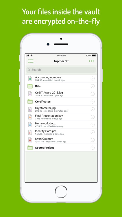 Cryptomator screenshot-3