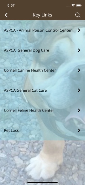 Peninsula Pet Lodge(圖5)-速報App