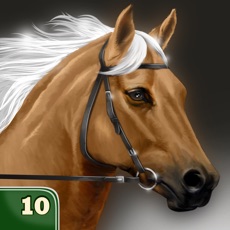 Activities of My Horse Life Story Quiz Game