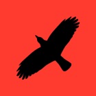 Condor Operations - Red