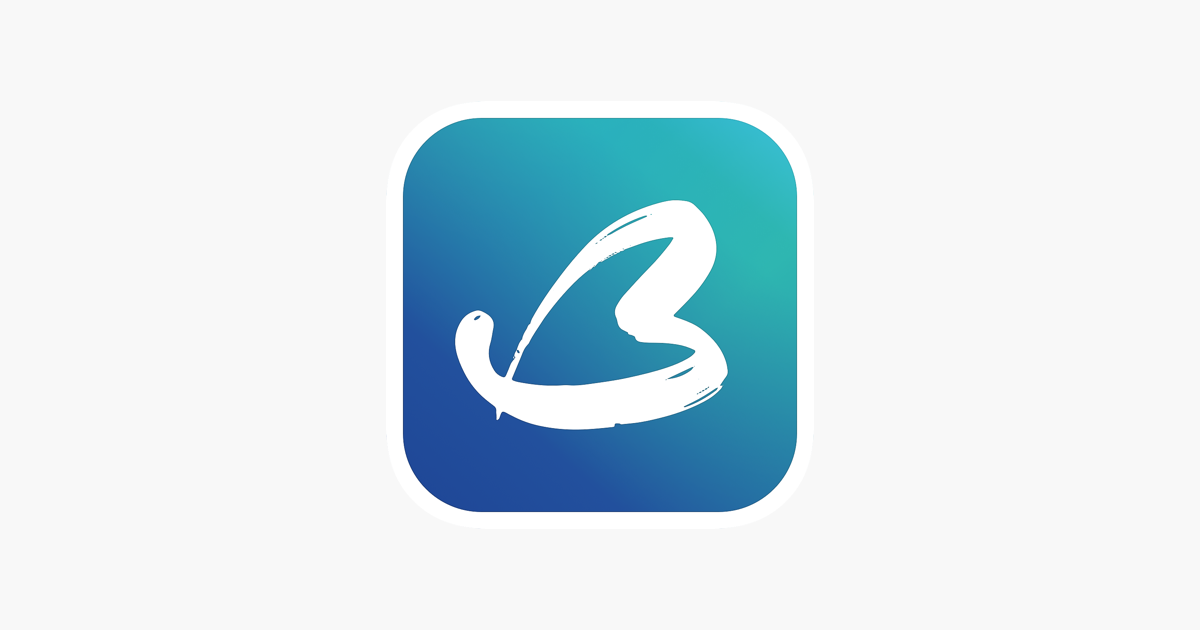 App Store 上的 Becasso 艺术家的相片编辑器