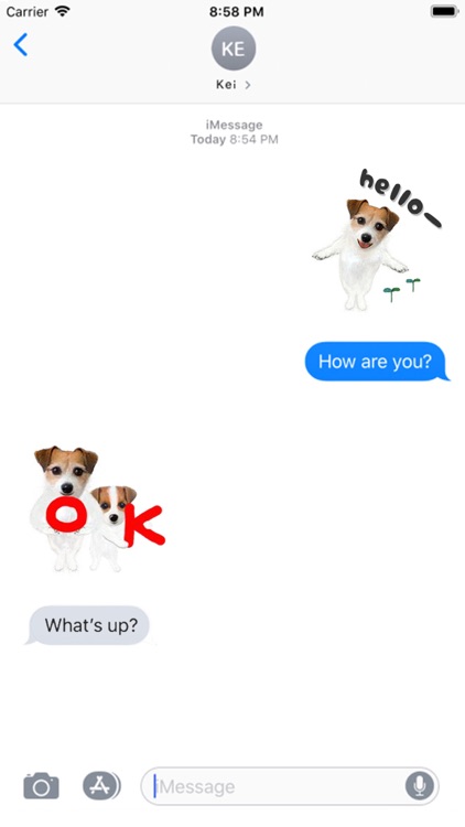 Jack Russell Animation 2