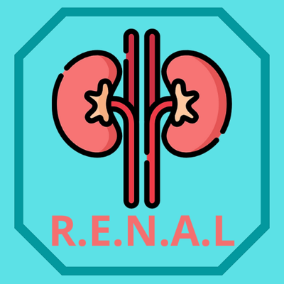 Urology RENAL Nephrometry