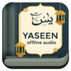 Surah Yaseen Offline Audio - Donik Ariyanto