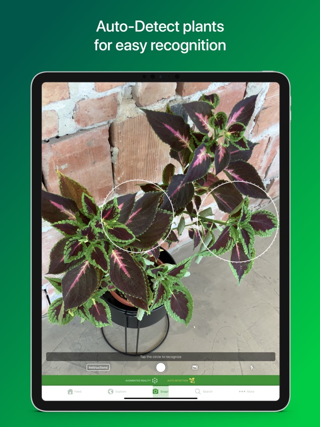 PlantSnap Pro: Identify Plants